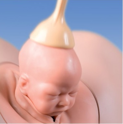 Modele zabiegowe 3B Scientific SIMone