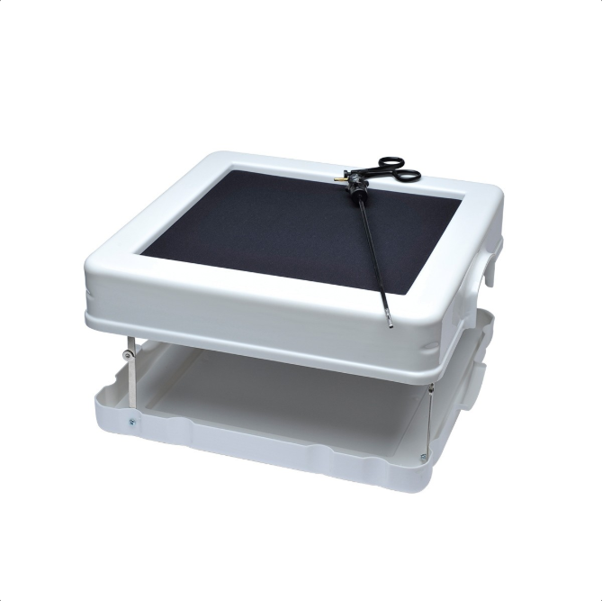 Modele zabiegowe 3B Scientific W19316