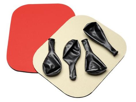 Modele zabiegowe 3B Scientific W19330