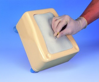 Modele zabiegowe 3B Scientific W19334