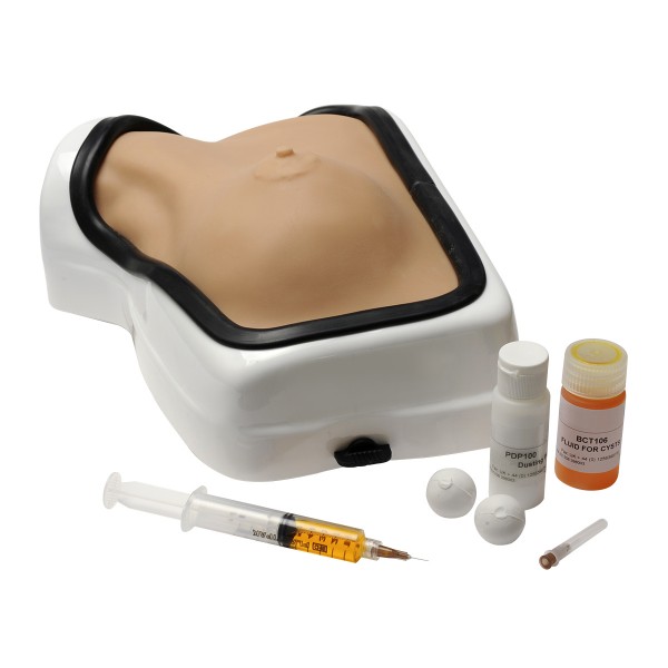 Modele zabiegowe 3B Scientific W19340