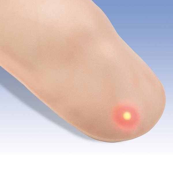 Modele zabiegowe 3B Scientific W30502/1