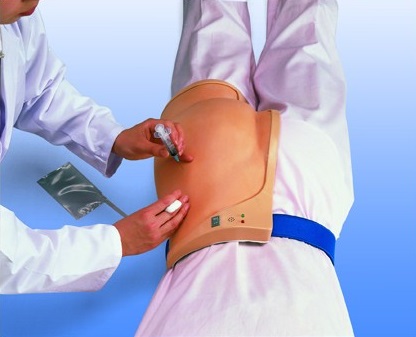 Modele zabiegowe 3B Scientific W30504