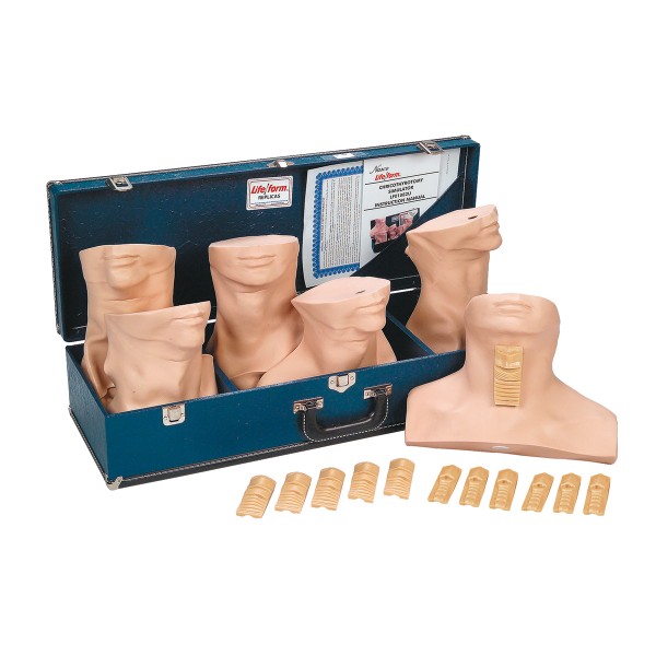 Modele zabiegowe 3B Scientific W44016