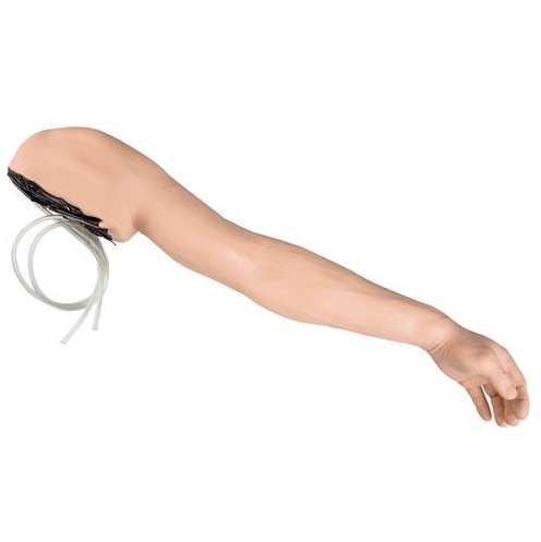 Modele zabiegowe 3B Scientific W44216