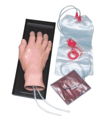 Modele zabiegowe 3B Scientific W44600