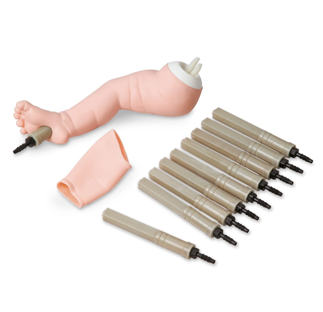 Modele zabiegowe 3B Scientific W44771