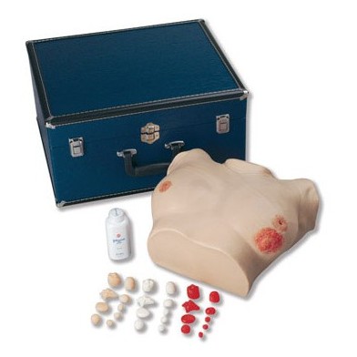 Modele zabiegowe 3B Scientific W44787