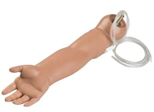 Modele zabiegowe 3B Scientific W45032