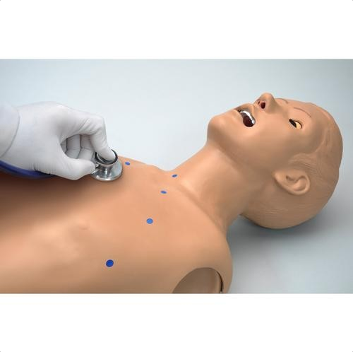 Modele zabiegowe 3B Scientific W45099