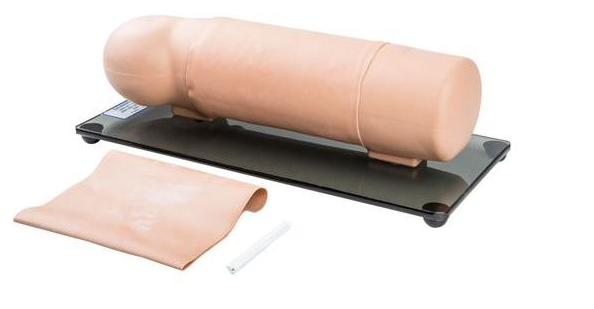 Modele zabiegowe 3B Scientific W45155