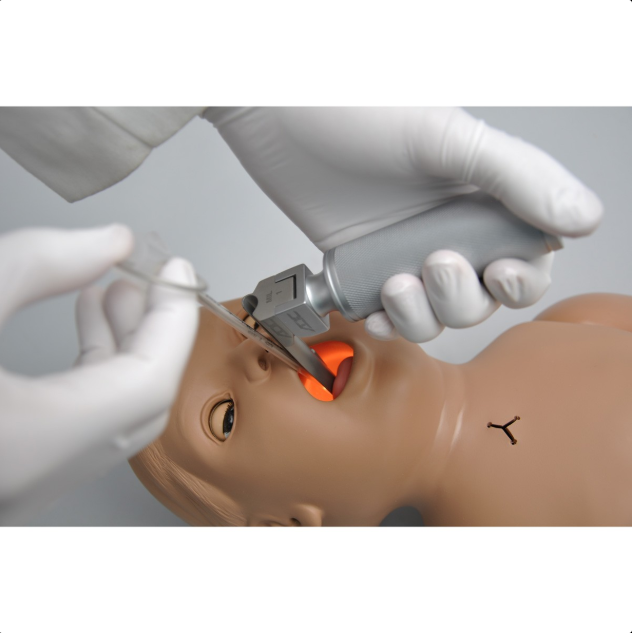 Modele zabiegowe 3B Scientific W45179