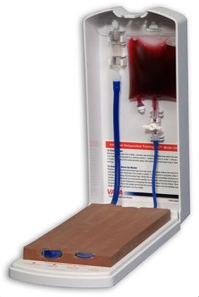 Modele zabiegowe 3B Scientific W46513