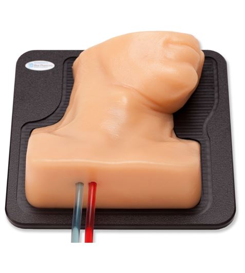 Modele zabiegowe CAE Healthcare Blue Phantom BPIJ500