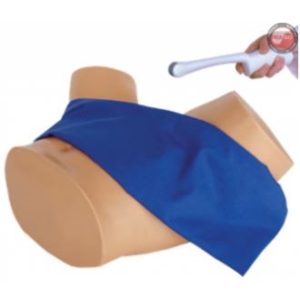 Modele zabiegowe CAE Healthcare Blue Phantom Transvaginal