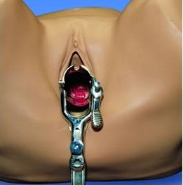 Modele zabiegowe Gaumard S503