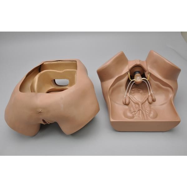 Modele zabiegowe Gaumard S504.100