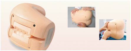 Modele zabiegowe KYOTO KAGAKU M43B