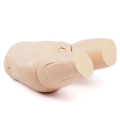 Modele zabiegowe Laerdal Fundus Skills and Assessment Trainer