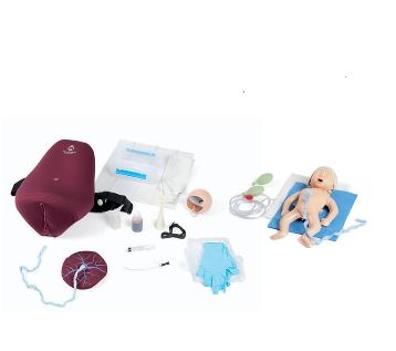 Modele zabiegowe Laerdal MamaNatalie