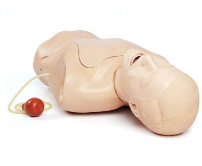 Modele zabiegowe Laerdal NG Tube and Trach Care Trainer