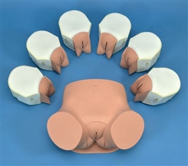 Modele zabiegowe Laerdal Symulator badania klinicznego szyki macicy