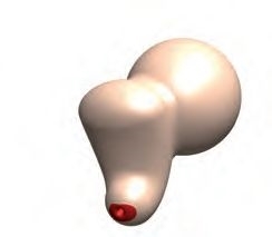 Modele zabiegowe Laerdal Symulator badania klinicznego szyki macicy