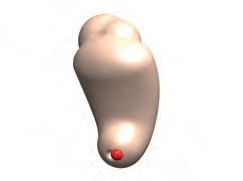 Modele zabiegowe Laerdal Symulator badania klinicznego szyki macicy