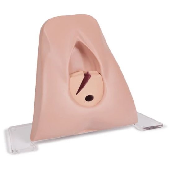 Modele zabiegowe Limbs&Things 60450