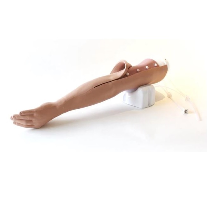 Modele zabiegowe Limbs&Things 70304 / 70302 / 70300 