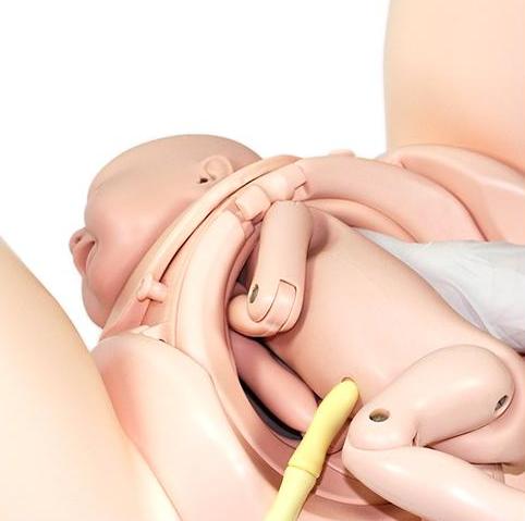 Modele zabiegowe Limbs&Things PROMPT 80100