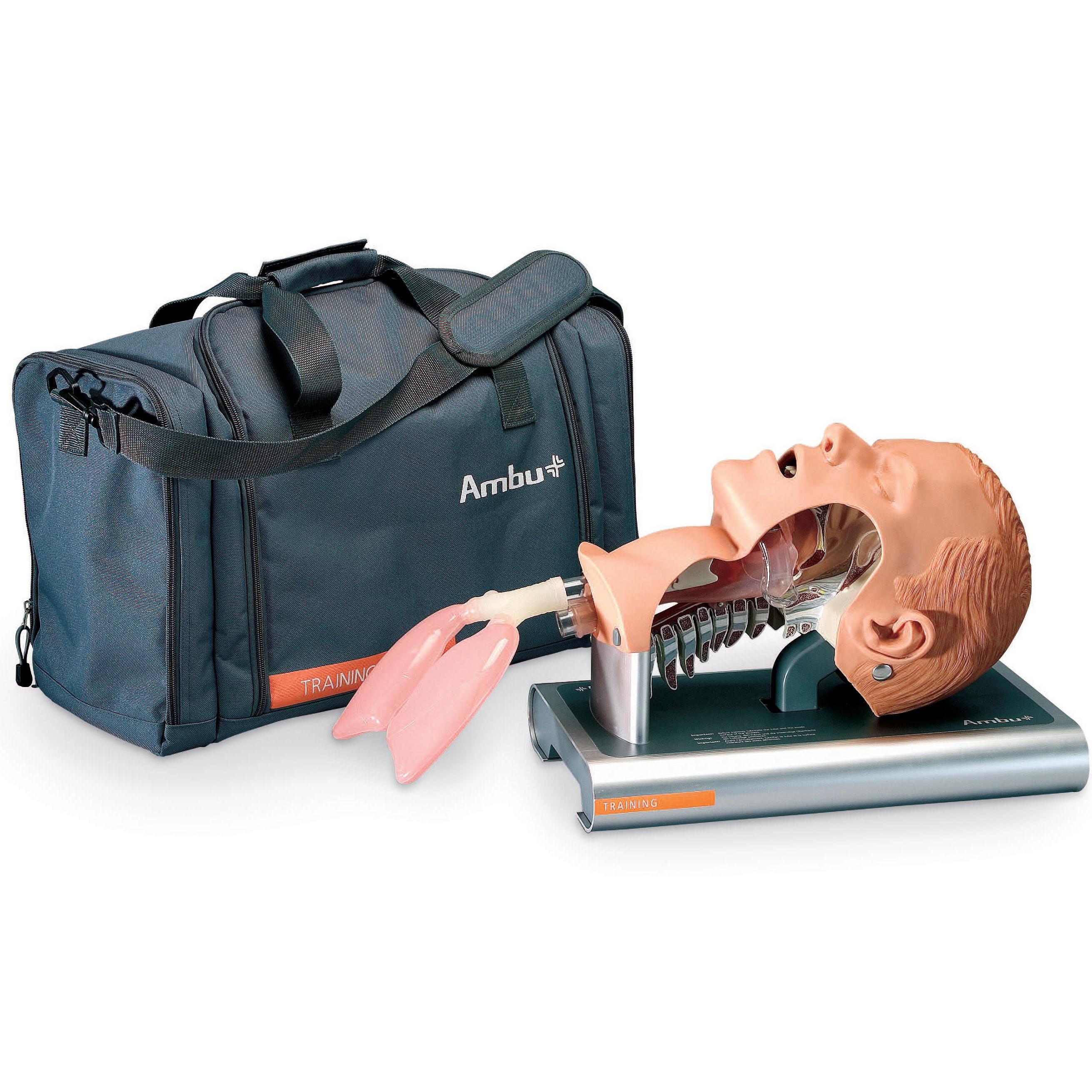 Modele zabiegowe Nasco Fantom głowy z przekrojem do nauki intubacji dorosłych