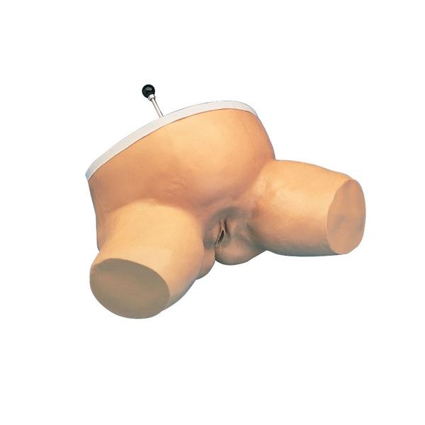 Modele zabiegowe Nasco LF01070U