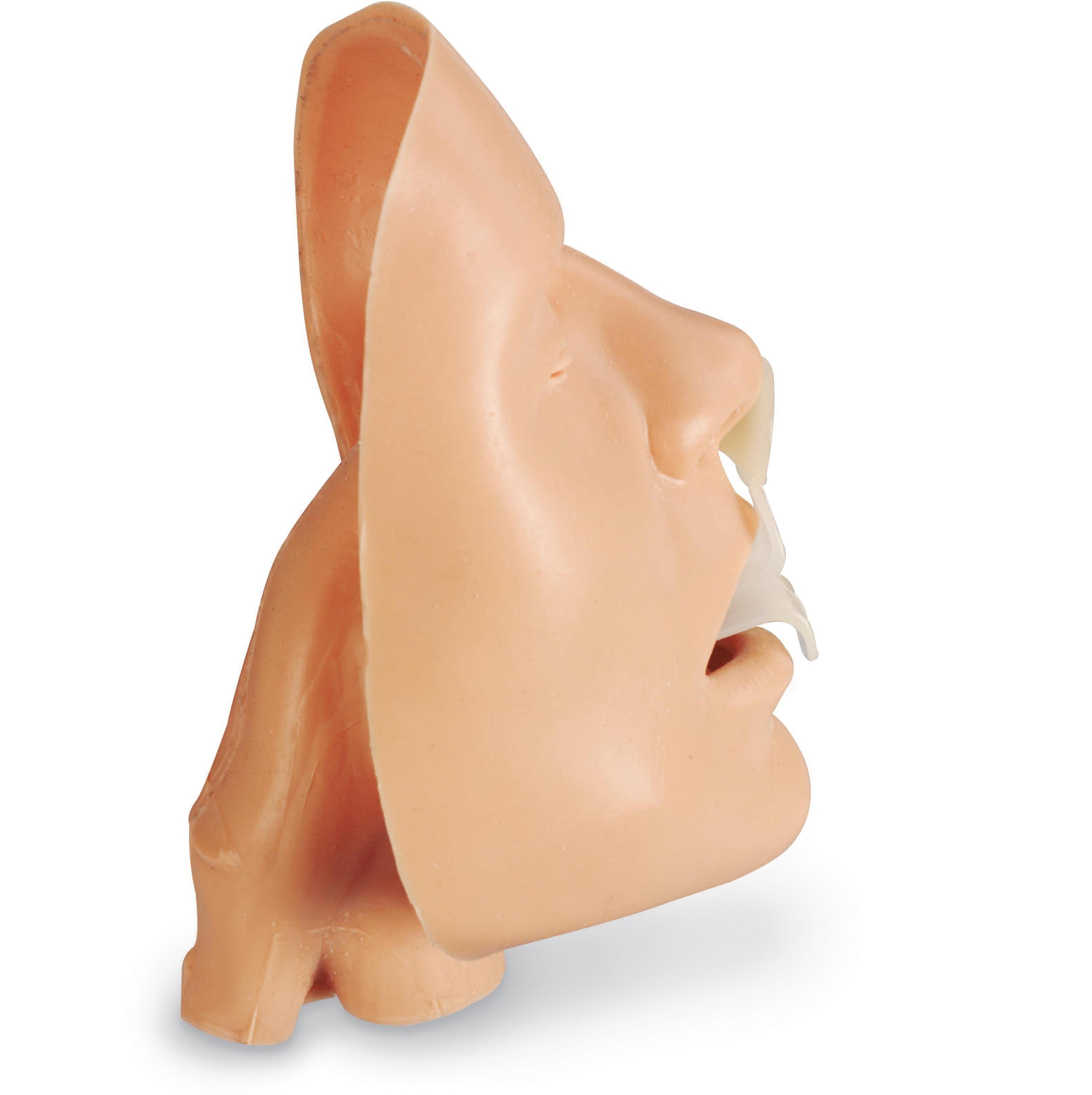 Modele zabiegowe Nasco Model maski twarzowej do demonstracji intubacji BLS
