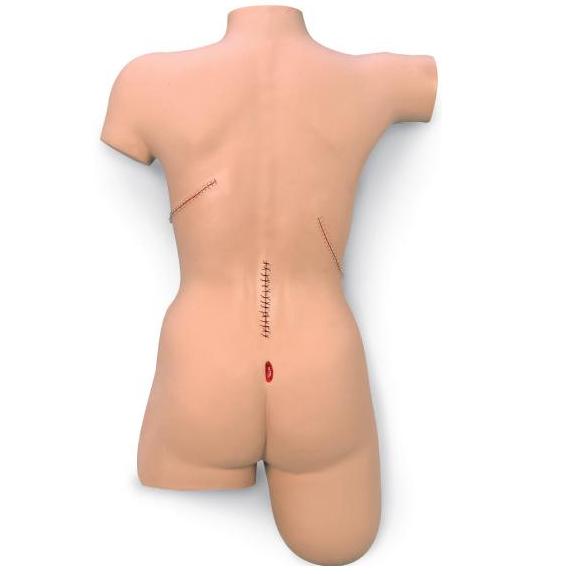 Modele zabiegowe Nasco Sally