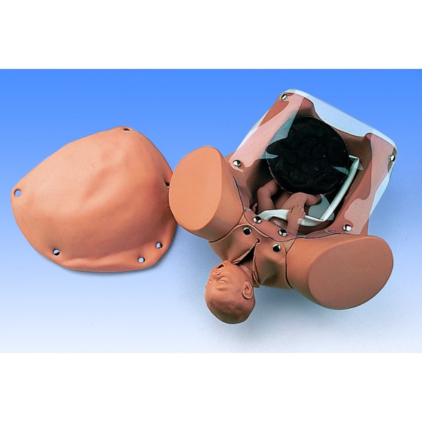 Modele zabiegowe Nasco SB23536U