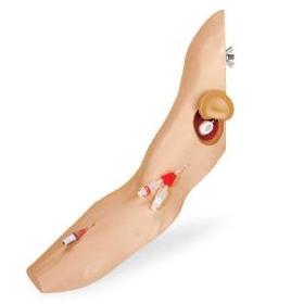 Modele zabiegowe Nasco SB45082U