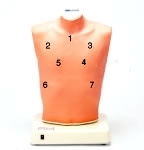 Modele zabiegowe Nasco Symulator do osłuchiwania płuc "LSat"