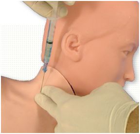 Modele zabiegowe SIMULAB VascularAccessChild System