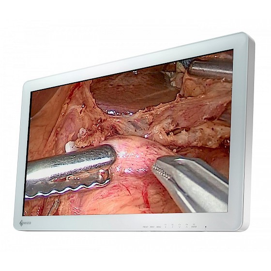 Monitory medyczne Eizo CuratOR EX2620