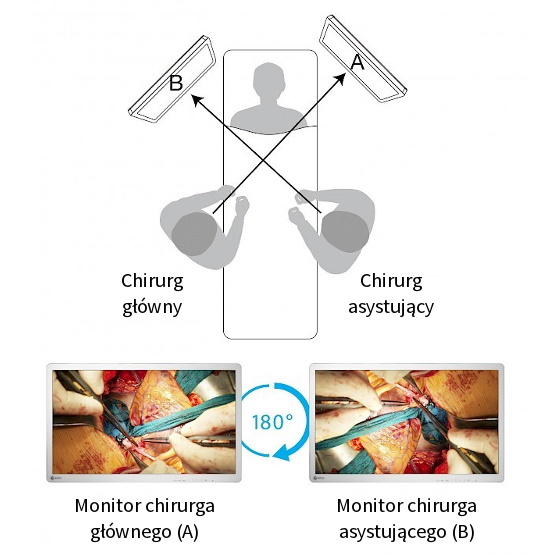 Monitory medyczne Eizo CuratOR EX2620