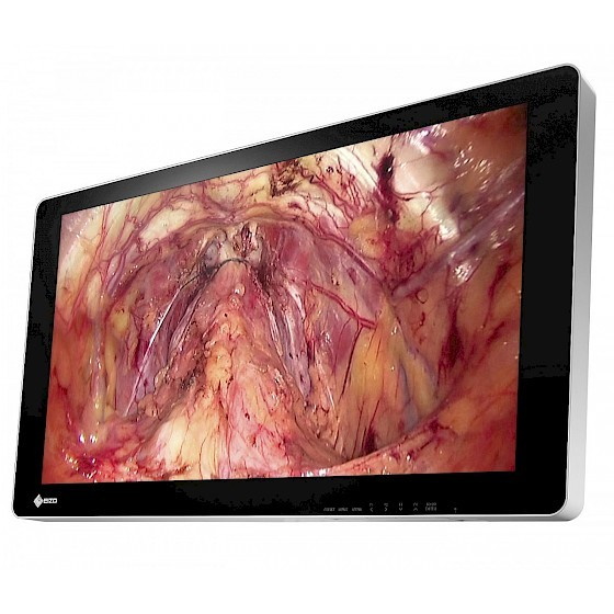 Monitory medyczne Eizo CuratOR EX3141-3D