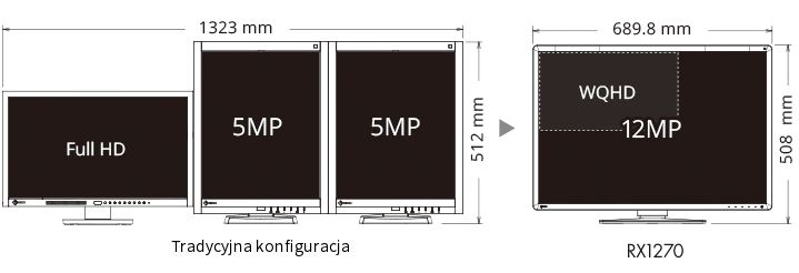 Monitory medyczne Eizo RadiForce RX1270