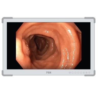 Monitory medyczne FSN FS-L2702D