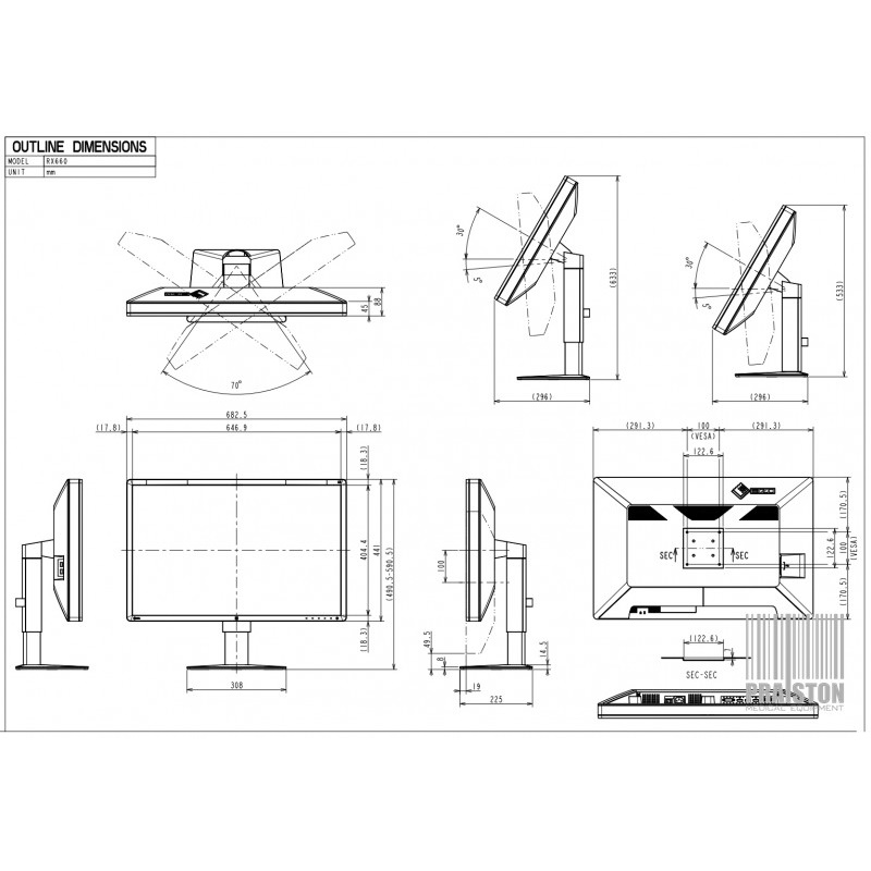 Monitory medyczne używane B/D Eizo RadiForce RX660 - Praiston rekondycjonowany