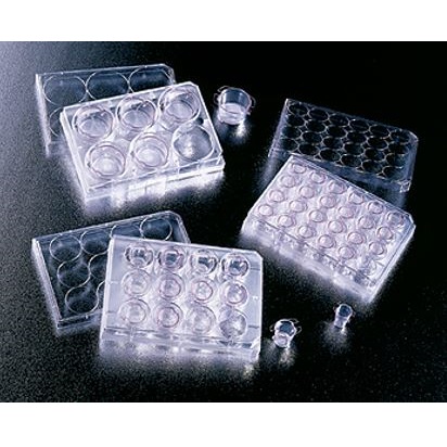 Naczynia do hodowli komórkowych Corning Life Science Falcon Inserty