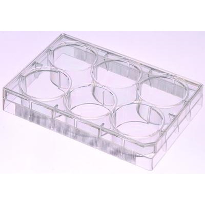 Naczynia do hodowli komórkowych VWR płytki wielodołkowe