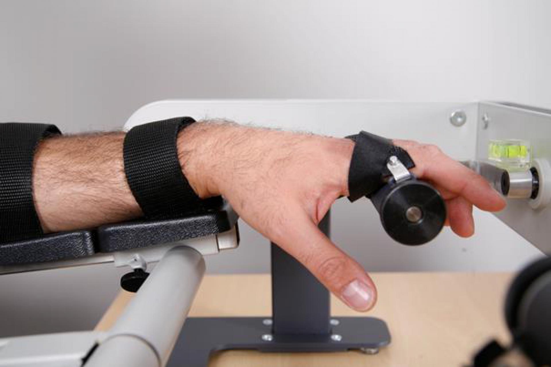 Nadgarstek - szyny CPM Terma Pictor