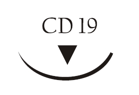 Nici chirurgiczne z igłą okrągłą Vigilenz Esteron T57CD190