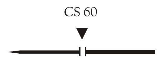 Nici chirurgiczne z igłą prostą Vigilenz T37CS600